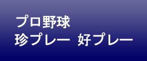 プロ野球 珍プレー・好プレー